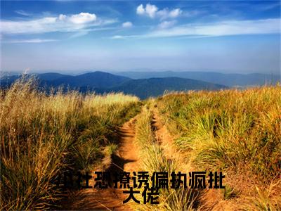 热文推荐小社恐撩诱偏执疯批大佬:全文+番外（漆淮宋轻）书荒必看列表
