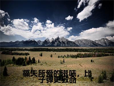 林向晚宋青山：结局+番外新上热文_笔趣阁（痛失所爱的滋味，比子弹更致命）痛失所爱的滋味，比子弹更致命：结局+番外评价五颗星