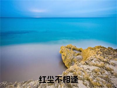 红尘不相逢沈溪宋怀远彩蛋小说结尾+附加（沈溪宋怀远）清爽版阅读