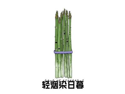 （乔岁暖晏沉）乔岁暖晏沉小说(轻烟染日暮)小说全集速览无广告高口碑小说