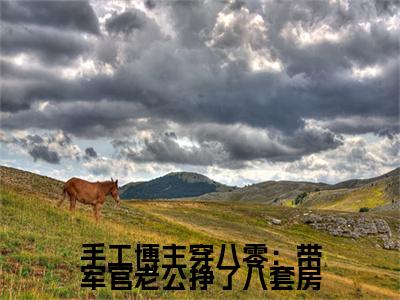 手工博主穿八零：带军官老公挣了八套房江柠陆少谦特别篇章节目录+章节前文（江柠陆少谦）TXT清爽版在线