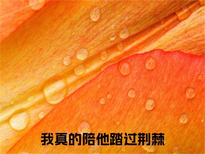 贺明江荣岁：结局+番外（我真的陪他踏过荆棘）全本完整+后续+结局在线阅读