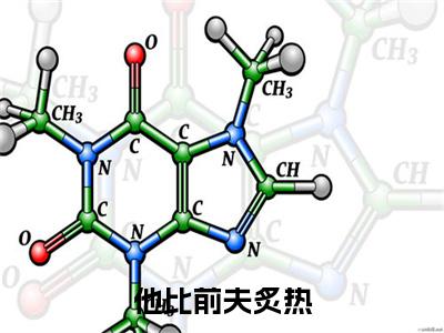 傅谨修孟晚溪他比前夫炙热附加完整在线阅读（他比前夫炙热）最近更新列表
