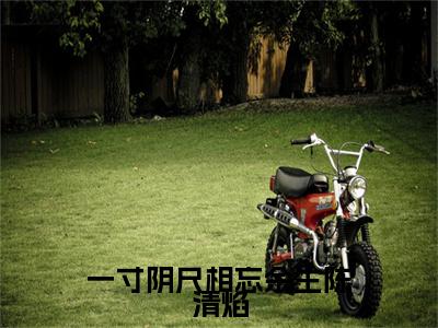 一寸阴尺相忘余生陈清焰小说(盛知秋陈清焰)小说结尾+隐藏篇章（一寸阴尺相忘余生陈清焰）畅享阅读
