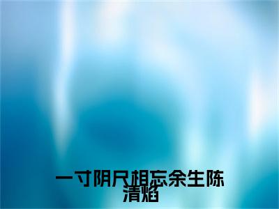 （盛知秋陈清焰）盛知秋陈清焰(一寸阴尺相忘余生陈清焰)无套路无弹窗全部章节列表