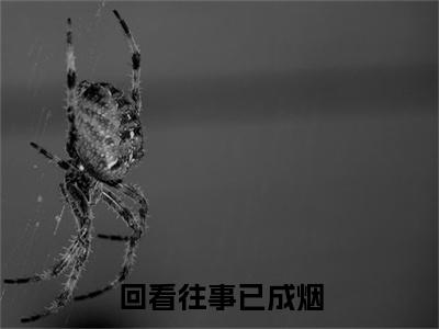 姜兮薇傅珩舟小说(回看往事已成烟)（姜兮薇傅珩舟）在线畅读阅读连载中