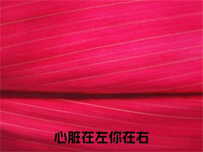 莫梧秋宁从闻续集(心脏在左你在右)全本完整免费版_起点章节+后续（莫梧秋宁从闻）