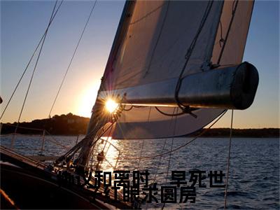 协议和离时，早死世子红眼求圆房：结局+番外精品选集（柳昭昭）番外+续集