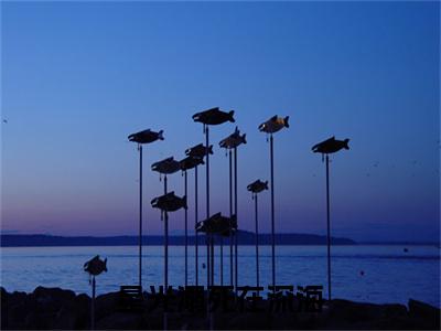 星光溺死在深海小说番外+结局（顾清澄白斯臣）小说在线阅读