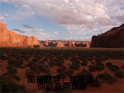 前传闺蜜双穿：嫁京圈！你逃我带球跟续集(闺蜜双穿：嫁京圈！你逃我带球跟)终章阅读极简（闺蜜双穿：嫁京圈！你逃我带球跟）