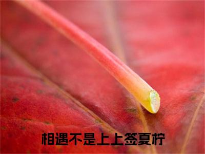 相遇不是上上签夏柠裴溪年夏柠续集起点章节+全书阅读（裴溪年夏柠）书荒必看