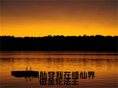 （开局胎穿我在修仙界做金轮法王）：+后续+番外 凌华后续全本浏览阅读