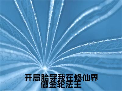 热文推荐开局胎穿我在修仙界做金轮法王附加(凌华)（开局胎穿我在修仙界做金轮法王）最新章节列表
