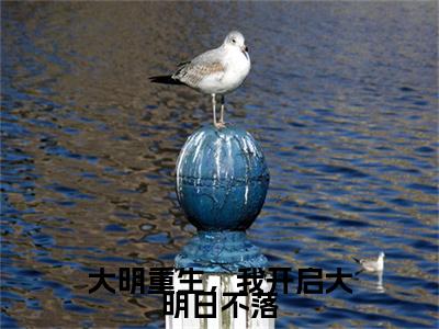 朱雄英：结局+番外免费品鉴大明重生，我开启大明日不落后续一口气无广告全书章节表