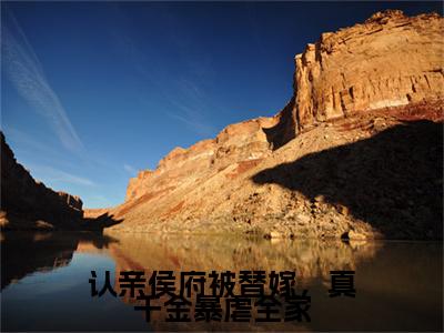 认亲侯府被替嫁，真千金暴虐全家完结篇全篇阅读无广告（张盈盈）番外+续集