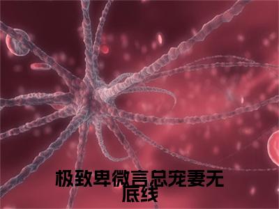 言寒江挽极致卑微言总宠妻无底线续集起点章节+全书阅读（极致卑微言总宠妻无底线）书荒必看