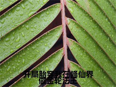 全网首发开局胎穿我在修仙界做金轮法王彩蛋(凌华)（开局胎穿我在修仙界做金轮法王）全本完整阅读无弹窗