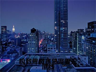 小说极致卑微言总宠妻无底线小说已更新+番外篇章（言寒江挽）纯净阅读