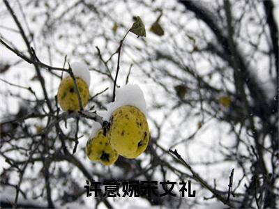 许意婉宋文礼最新章节（许意婉宋文礼）全文免费阅读无弹窗大结局_许意婉宋文礼免费阅读