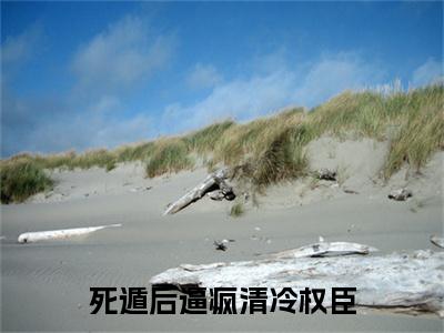 （死遁后逼疯清冷权臣）顾长钰苏暮最终篇章(顾长钰苏暮)全书在线无广告高口碑小说
