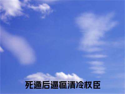 （顾长钰苏暮）顾长钰苏暮(死遁后逼疯清冷权臣)无套路无弹窗全部章节列表