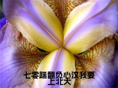 七零踹翻负心汉我要上北大后续(顾妗妗周隽安)（七零踹翻负心汉我要上北大）整本畅享在线+无广告结局