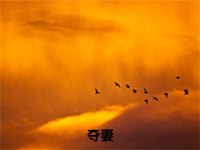 姜楹刘政：结局+番外免费品鉴_起点章节+后续（夺妻）