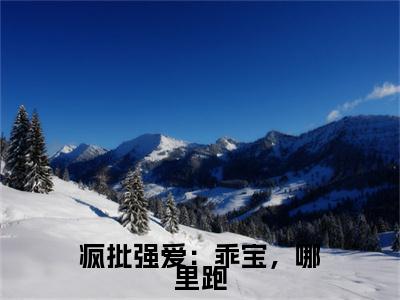 西子佑蓝依依小说(西子佑蓝依依)终章+番外（疯批强爱：乖宝，哪里跑）一口气阅读