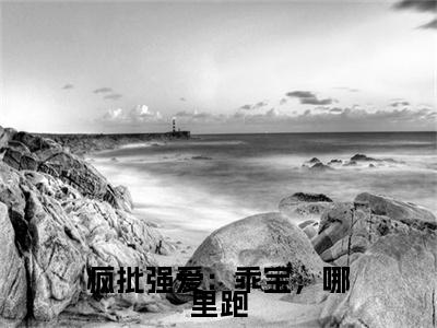 疯批强爱：乖宝，哪里跑小说无删减阅读清爽版（西子佑蓝依依）外篇+续集