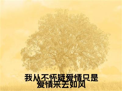 小说大结局小说江乔瑞孟棋玮小说已更新+特别篇（我从不怀疑爱情只是爱情来去如风）纯净版