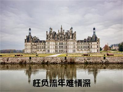 枉负流年难情深小说完整在线阅读（阮芷惜夏泽渊）前传列表