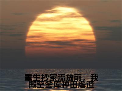 赵予书厉澜尘小说(重生抄家流放前，我搬空金库种田虐渣)+前传（赵予书厉澜尘）阅读