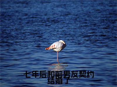 热文推荐原哲桑柔七年后和前男友契约结婚了：结局+番外精编之作