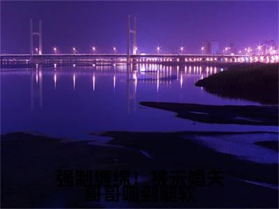 陆应淮楚棠小说整本+后续（强制缠绵！被未婚夫哥哥吻到腿软）清爽版阅读