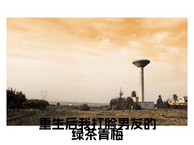 陆真真青梅番外（重生后我打脸男友的绿茶青梅）TXT+后续+结局在线阅读