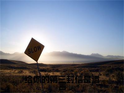 （给你的第三封信是遗言）给你的第三封信是遗言小说(顾温言沈佳芮)整书在线无广告高口碑小说