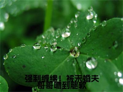 高分_陆应淮楚棠(强制缠绵！被未婚夫哥哥吻到腿软)（陆应淮楚棠）全本完整阅读