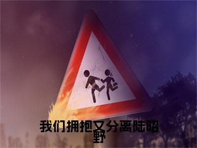 我们拥抱又分离陆昭野：结局+番外免费品鉴+起始篇章（叶知霜陆昭野）阅读