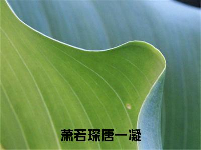 萧若琛唐一凝是什么小说(萧若琛唐一凝)（萧若琛唐一凝）全本完整清爽版在线+无广告结局