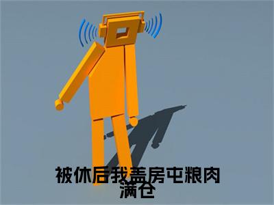 全网首发被休后我盖房屯粮肉满仓：+后续+番外（叶盼汣苏阎）全本完整阅读无弹窗