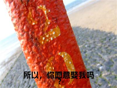 所以，你愿意娶我吗？小说完本(所以，你愿意娶我吗？)（宋矜煜苏南栖）前传+整本阅读全新作品预订