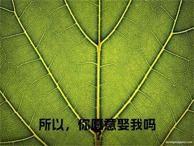 宋矜煜苏南栖特别篇章节目录+章节前文（所以，你愿意娶我吗？）TXT清爽版在线
