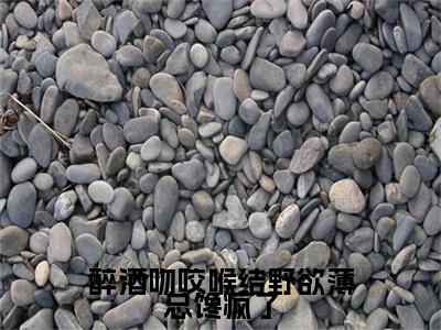 热文推荐薄宴辞裴梨小说大结局（醉酒吻咬喉结野欲薄总馋疯了）书荒必看列表