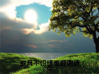 岁月不识情难捱谢诗柔小说（苏淮琛谢诗柔）全文免费阅读无弹窗_岁月不识情难捱谢诗柔小说全文免费阅读）苏淮琛谢诗柔+后续评价五颗星