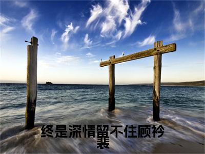 （祝悠然顾衿裴）终是深情留不住顾衿裴祝悠然顾衿裴后续一口气无广告全书章节表