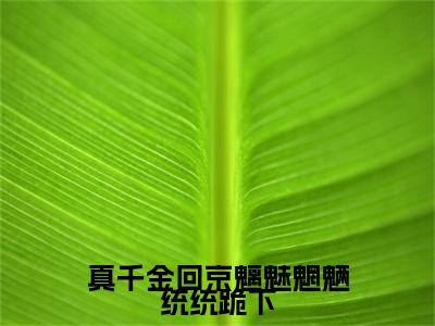 南晚意后续（真千金回京魑魅魍魉统统跪下）全篇在线阅读前传
