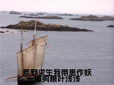 （头条）叶浅浅沈奕霖小说(荒野求生我带崽作妖撒狗粮叶浅浅)整本免费版阅读无广告（叶浅浅沈奕霖）