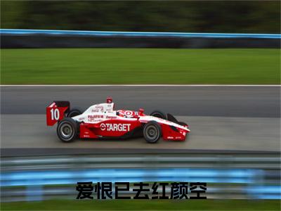 沈清雾谢谨奕小说(爱恨已去红颜空)（沈清雾谢谨奕）整本+后续+结局在线阅读