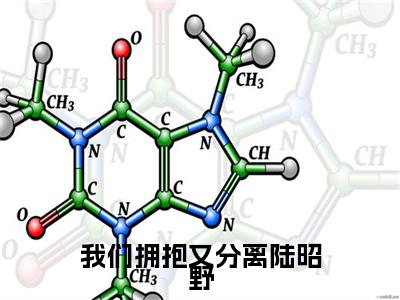 我们拥抱又分离陆昭野小说(叶知霜陆昭野)外篇+结局（我们拥抱又分离陆昭野）全篇在线阅读