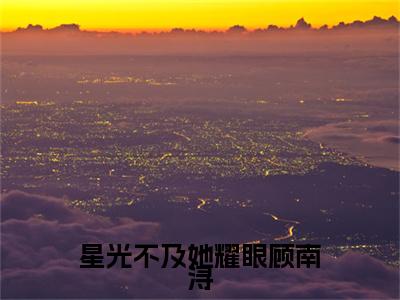 新章速递星光不及她耀眼顾南浔小说小说结尾阅读无广告（林晚顾南浔）